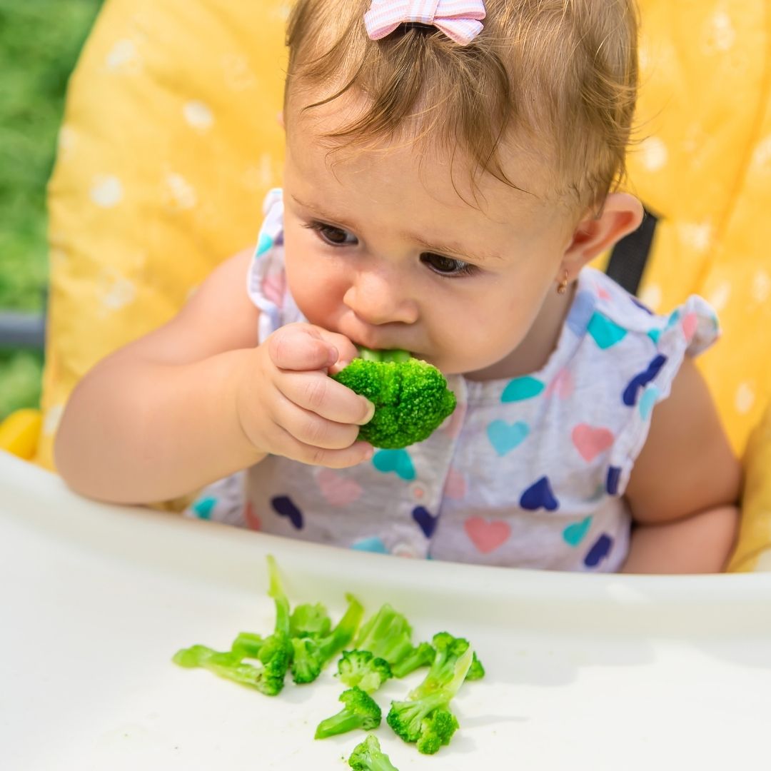 Introdução Alimentar e Primeira Infância